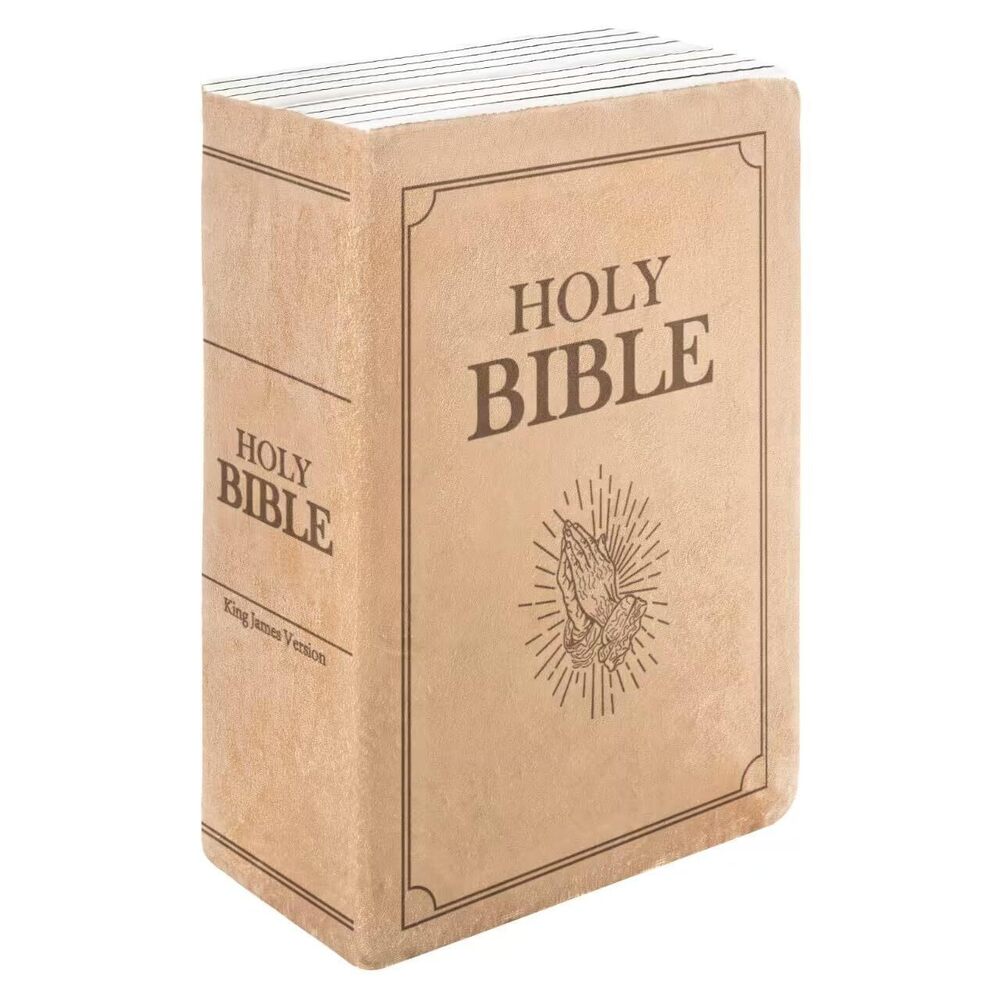 1891 Bible Pillow13x8.8x4 InchesBible Pillow Book Plush That Opens